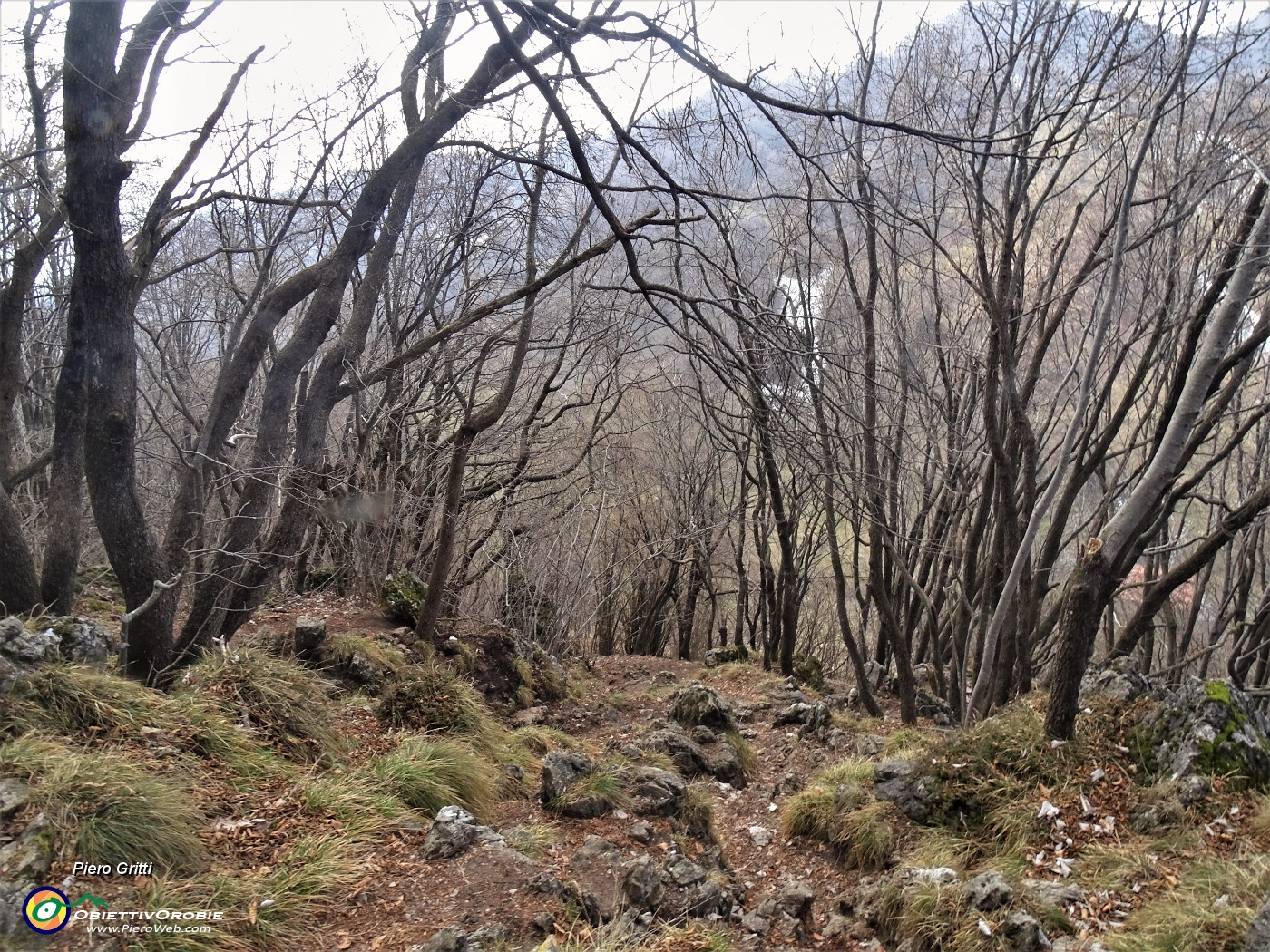 63 In discesa dalla cima del Monte Zucco.JPG